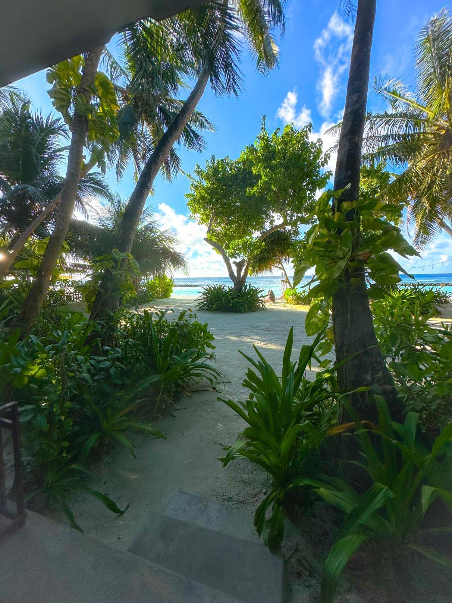 Thundi Sea View Hotel Đảo Đảo Fulidhoo Ngoại thất bức ảnh